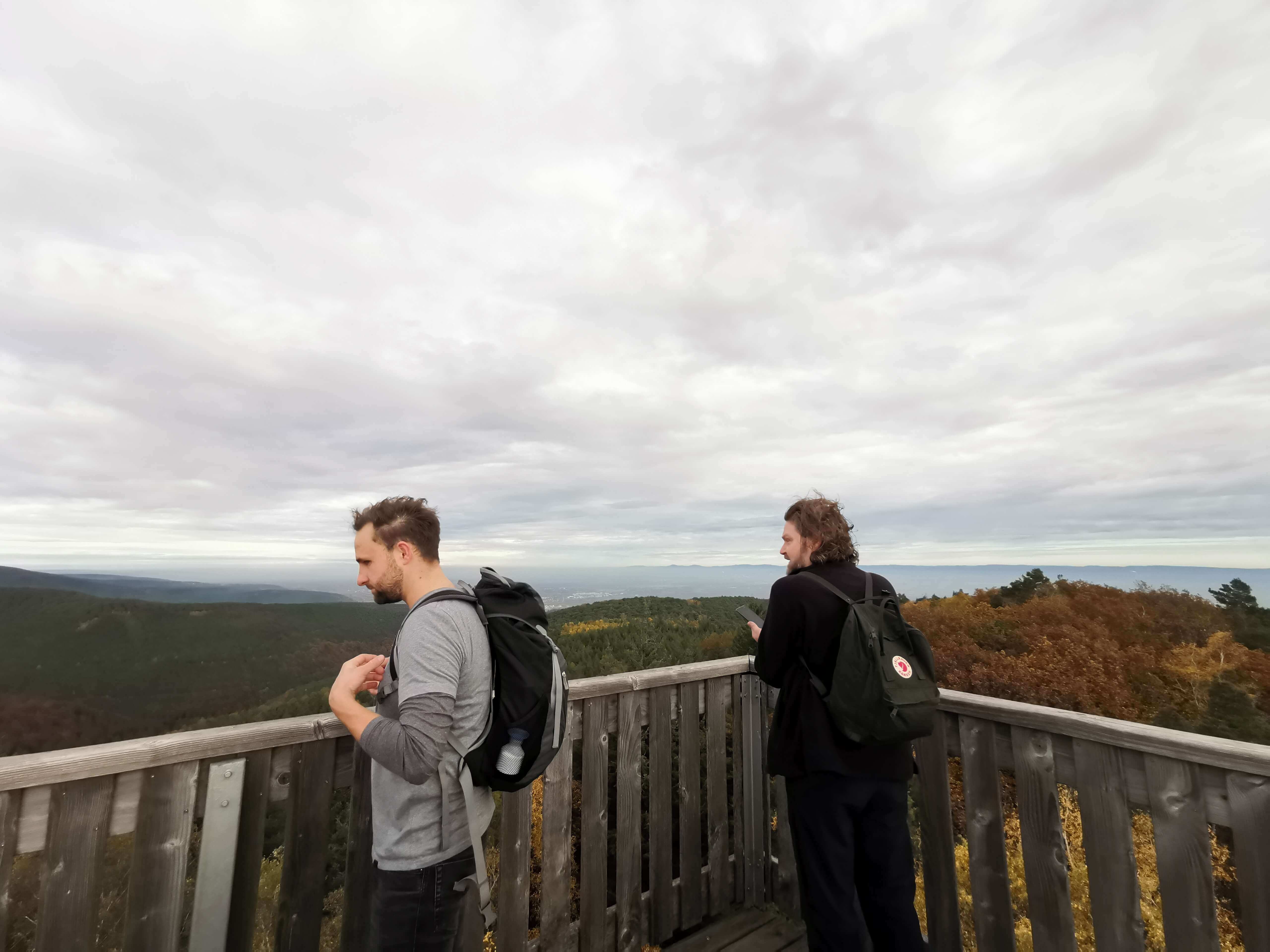Zwei Personen stehen auf einer hölzernen Aussichtsplattform und blicken über eine weite Waldlandschaft; beide tragen Rucksäcke, der Himmel ist bewölkt.